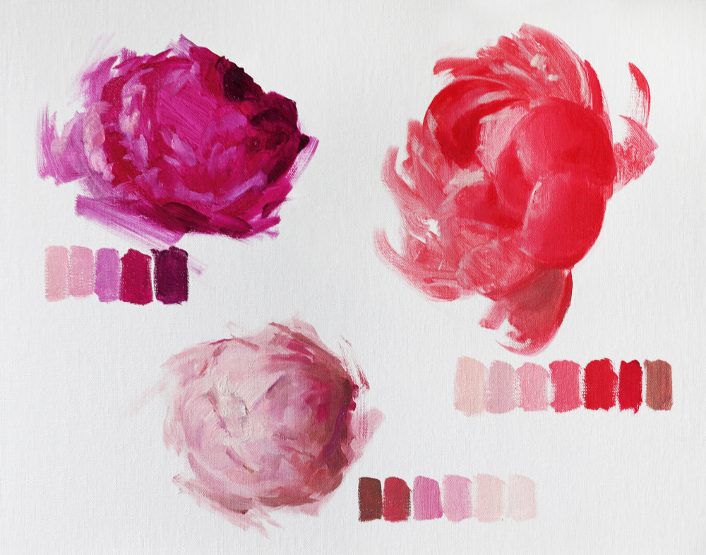 Three Pinks Peony Study