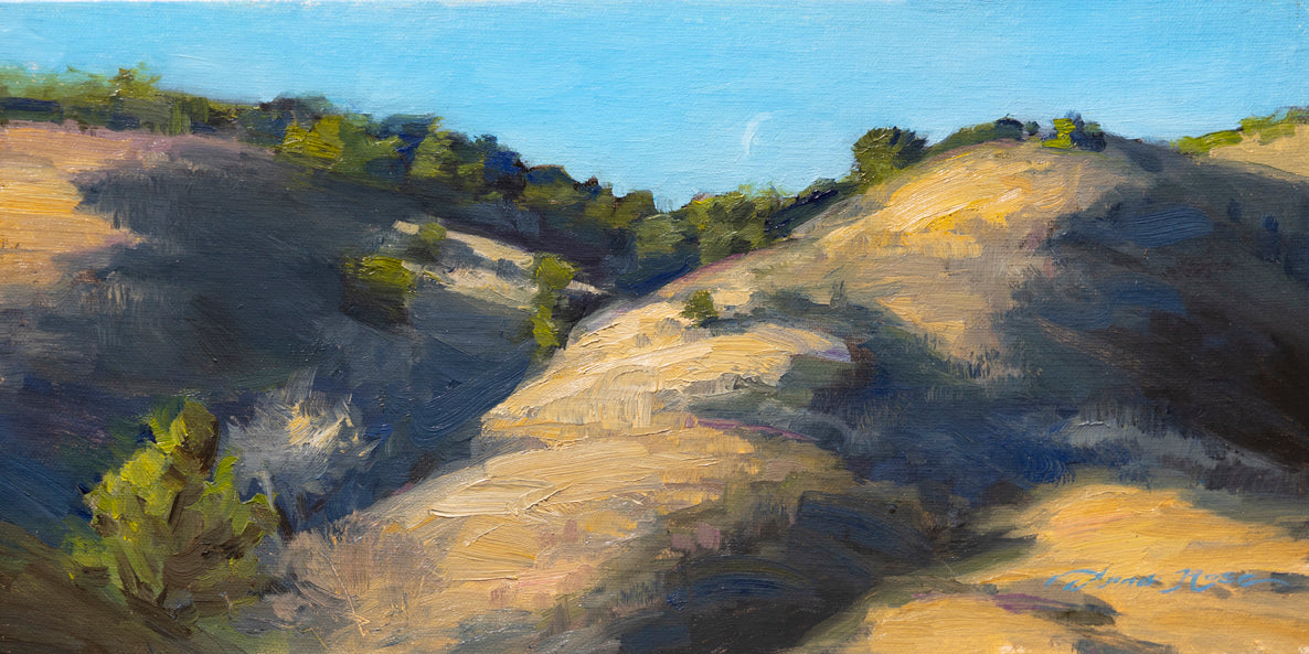 Crescent Moon Over White Ranch Park