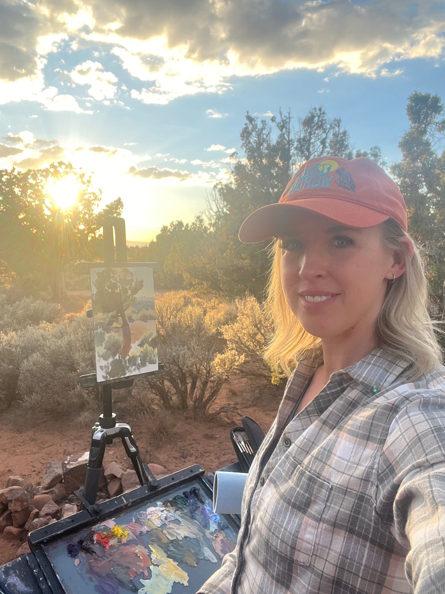 Sunset, through the Juniper Tree