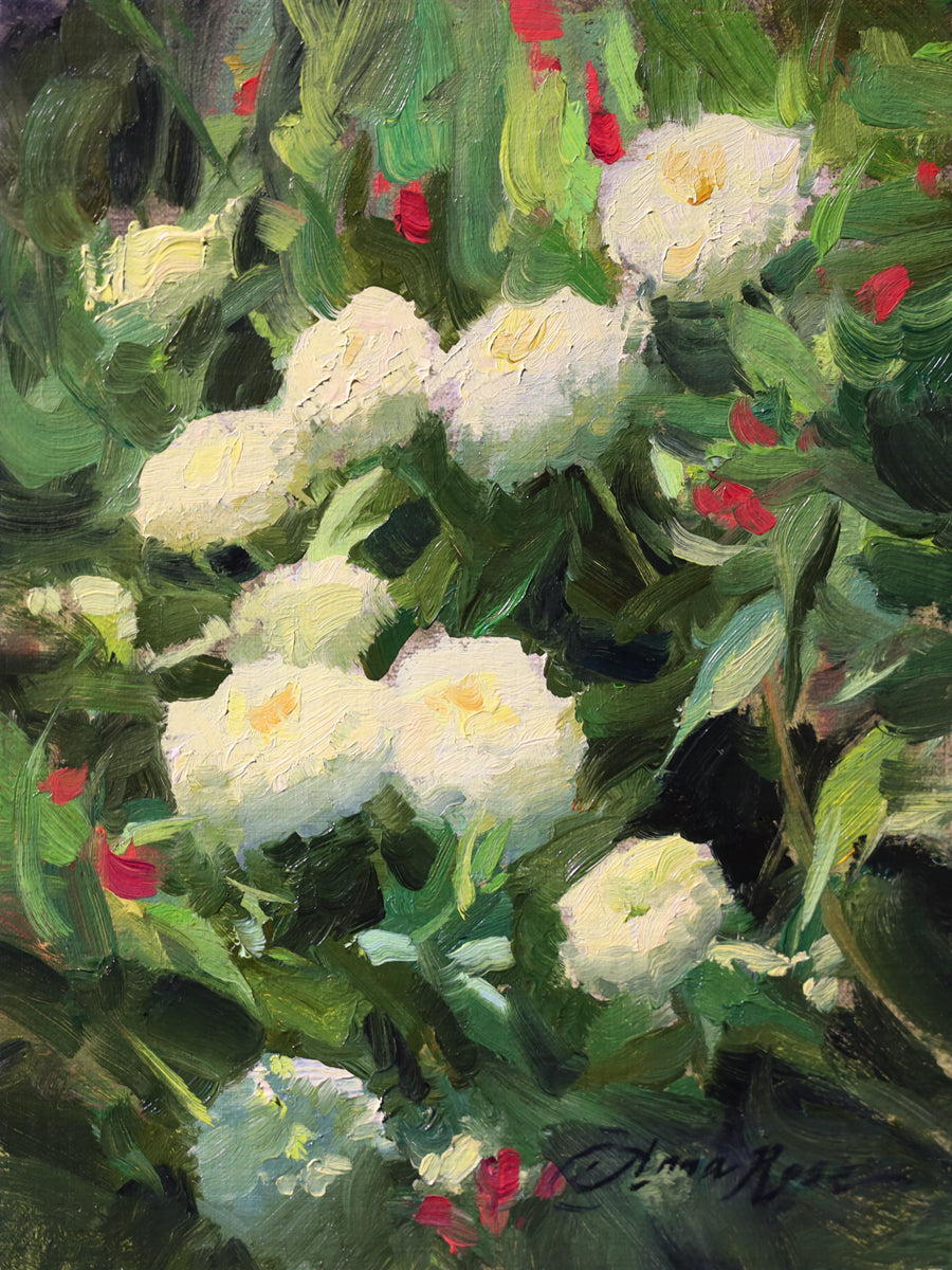 White Zinnias