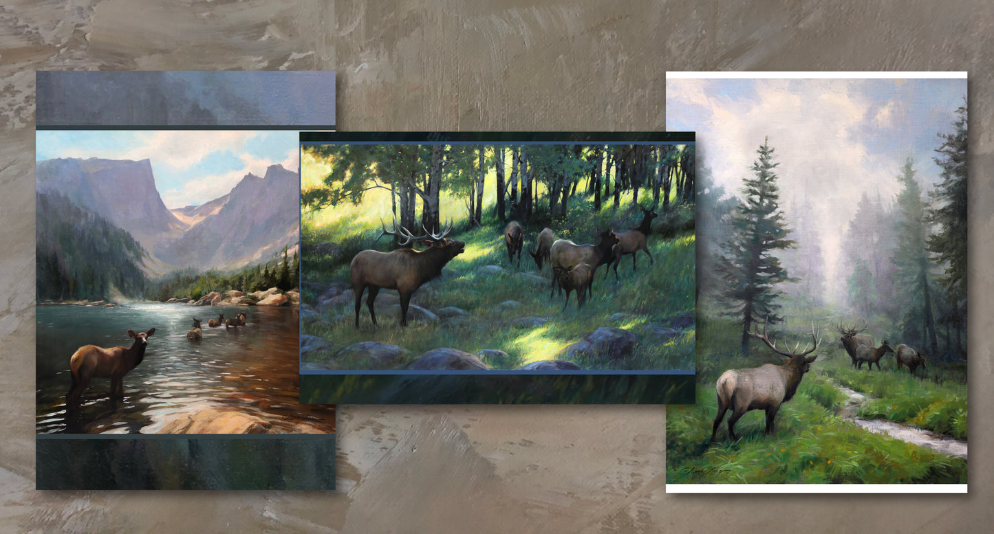 Elk Rocky Mountains Dream Set of 9 A7 (5x7") Lake Blank Greeting Cards with Envelopes