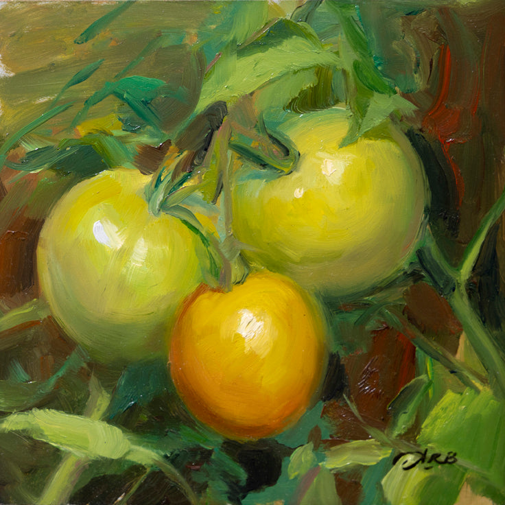 Tomatoes Before the Frost