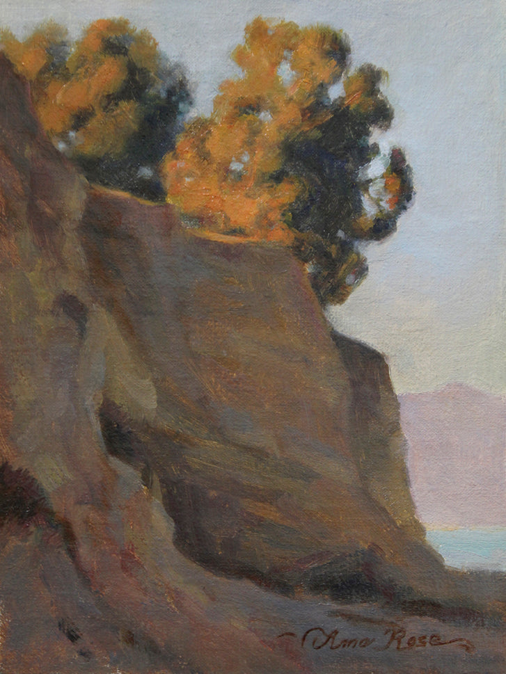 Last Light at Shoreline Park