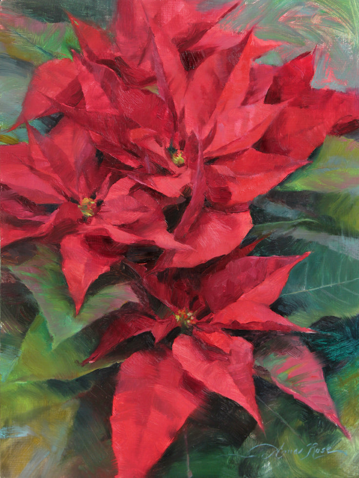 Red Poinsettias