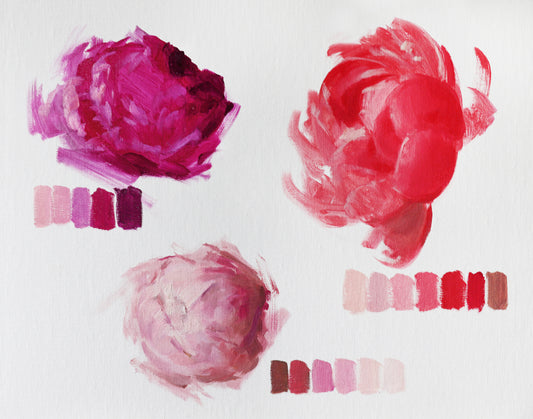Three Pinks Peony Study