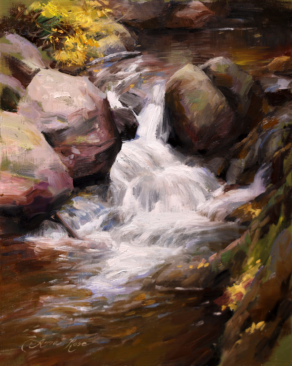 Gold at Alberta Falls