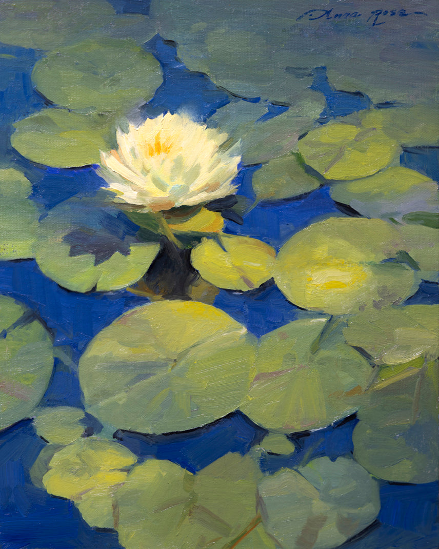 Sunlit Water Lilies
