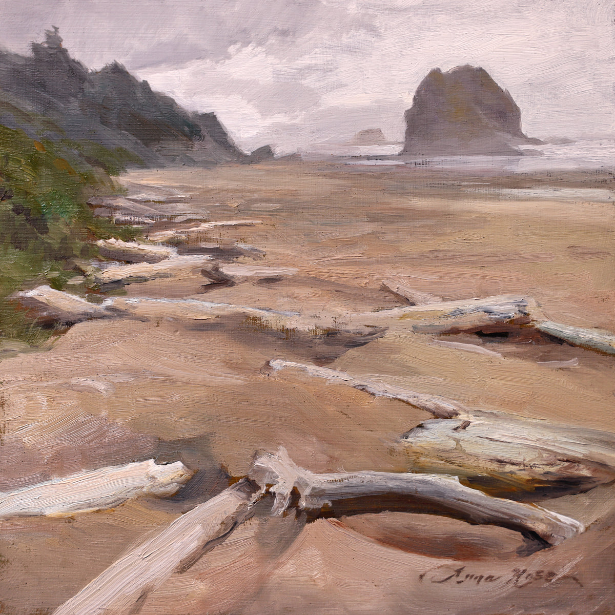 Cannon Beach Driftwood