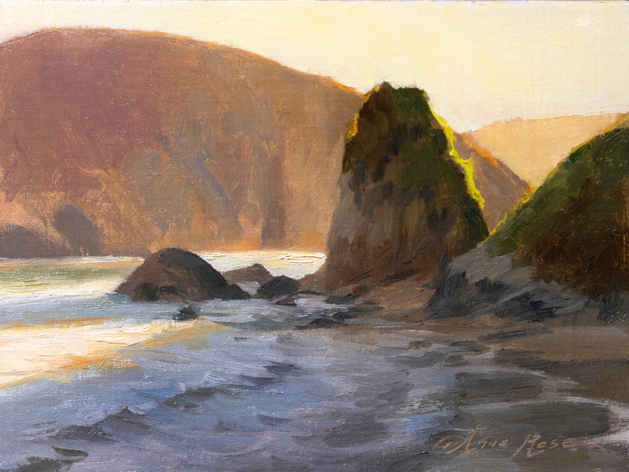 Last Light at Harris Beach