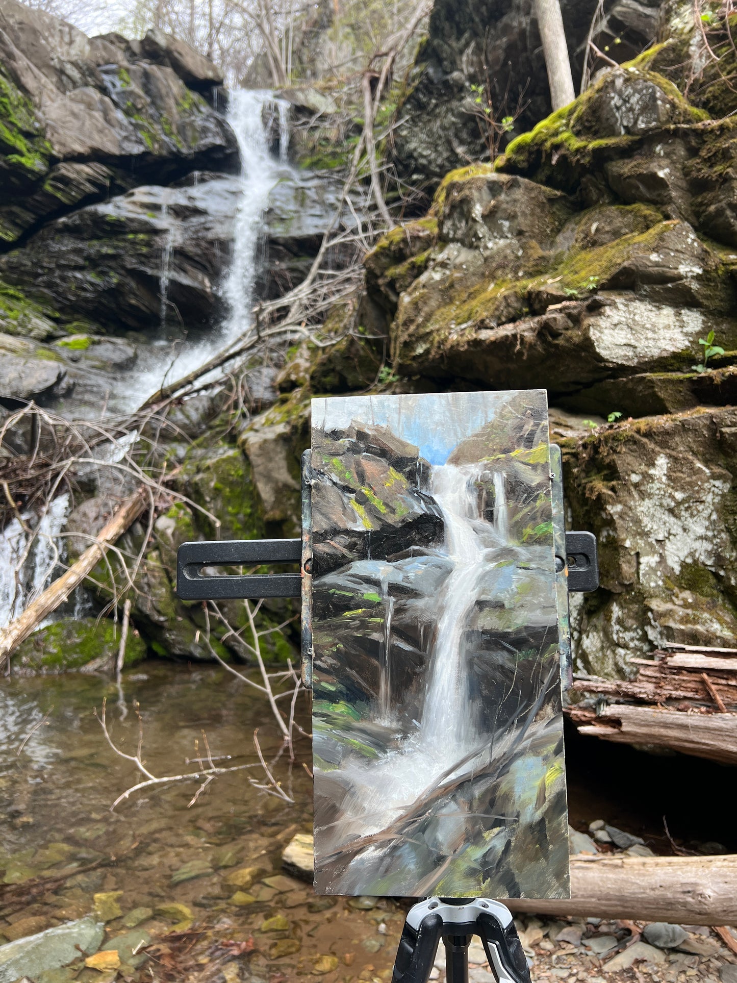 Lower Doyles River Falls