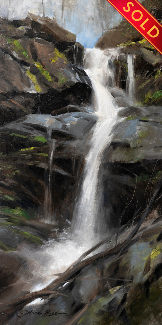 Lower Doyles River Falls