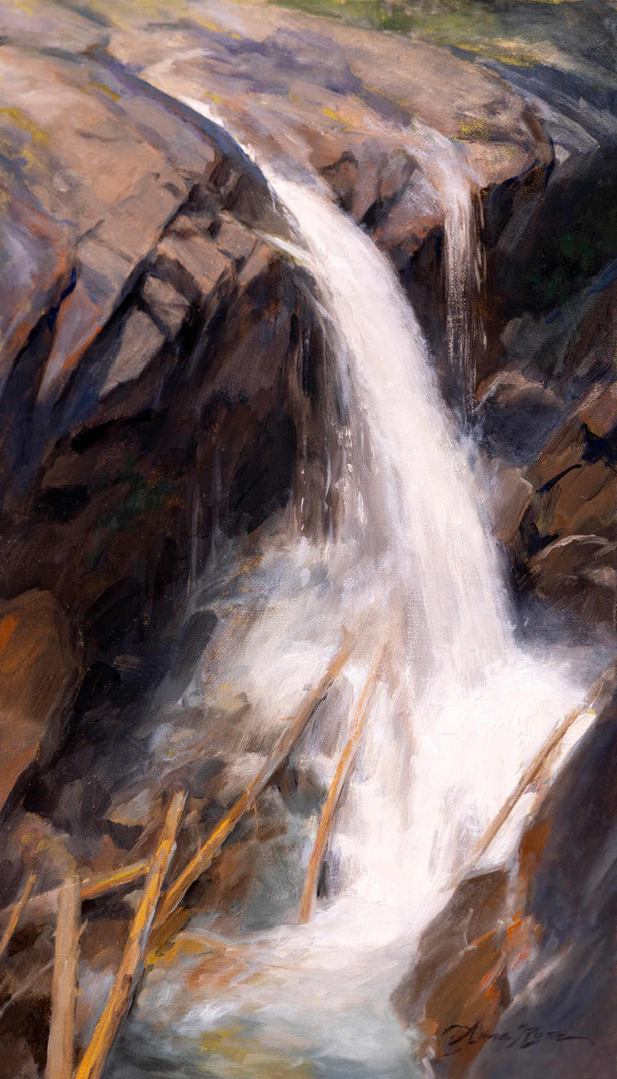 The Falls at Lost Lake Trail