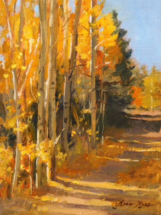 The Road Less Traveled