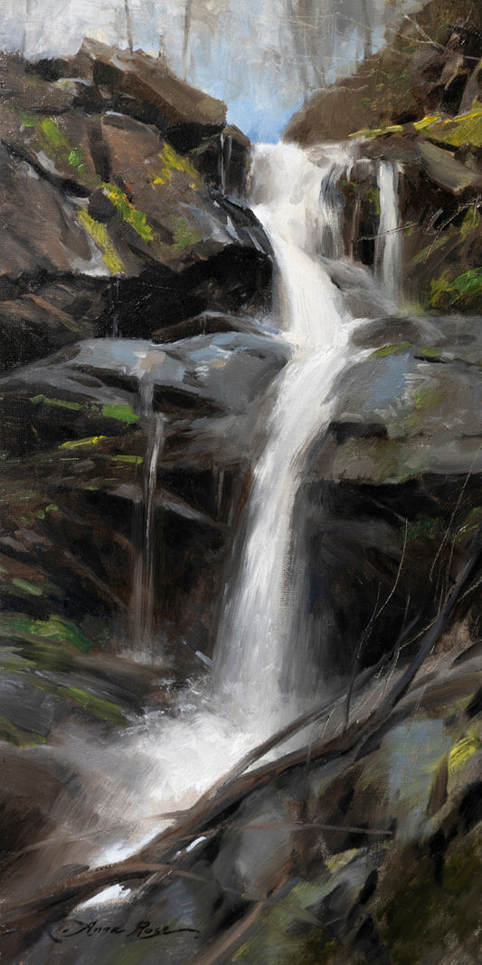 Lower Doyles River Falls