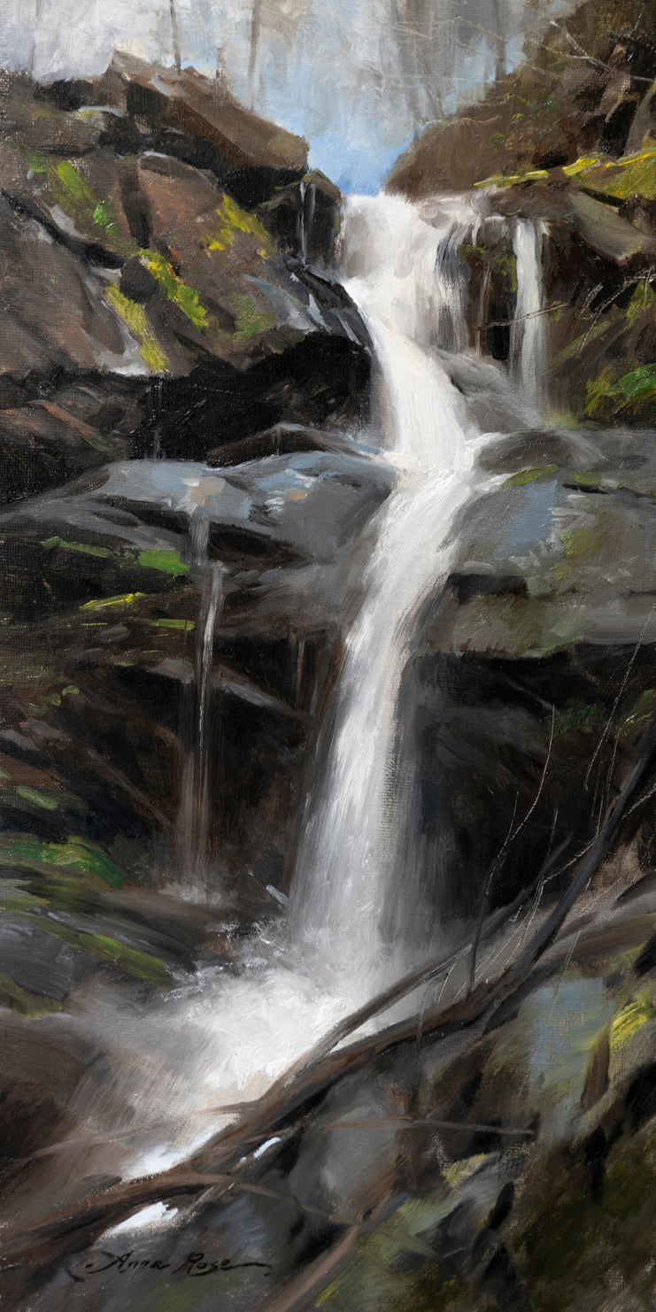 Lower Doyles River Falls