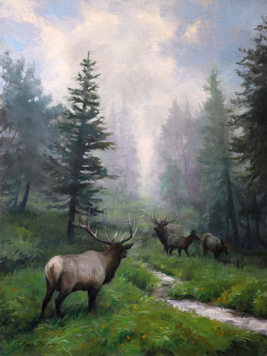 Encounter in the Mist