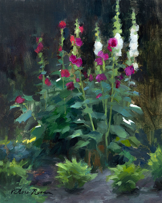 Hostas and Hollyhocks