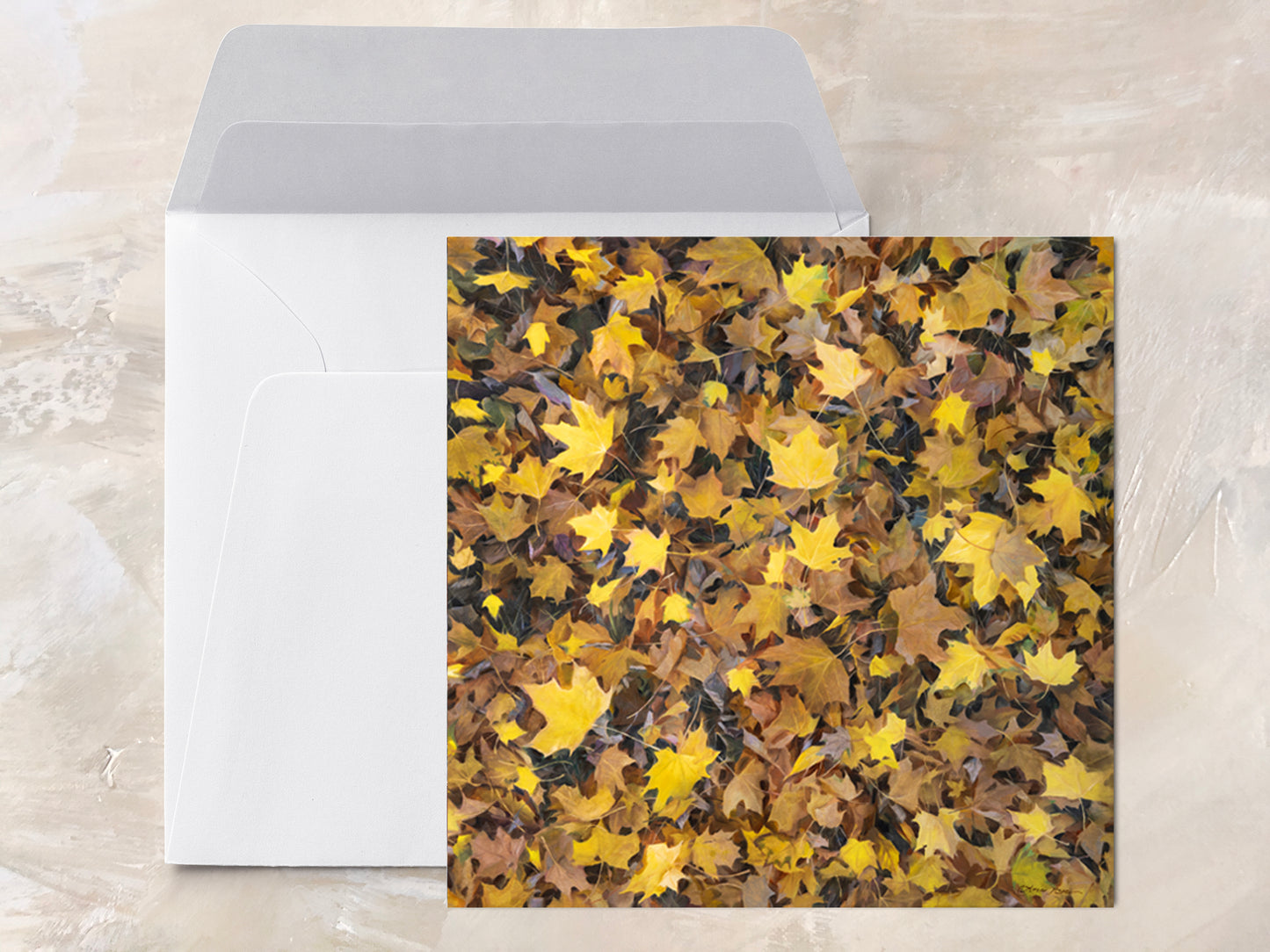 Fall Leaves "Meditation" Series - Greeting Cards 5x5" set of 8 with envelopes - Featuring Fine Art Oil Paintings by Anna Rose Bain