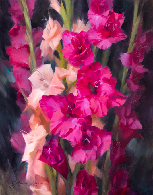 Pink Gladiolas