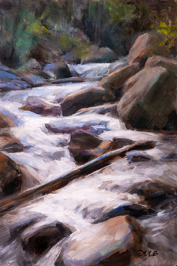 The June Snowmelt (Framed)