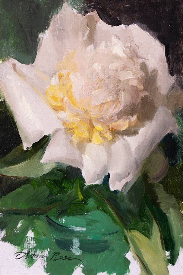 White Peony Study
