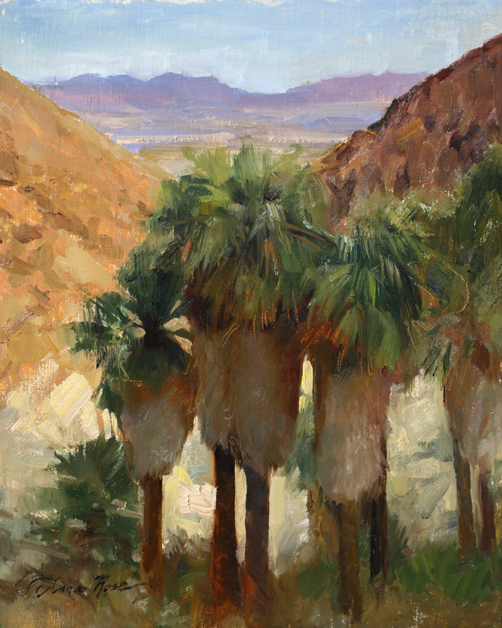 Fortynine Palms Oasis