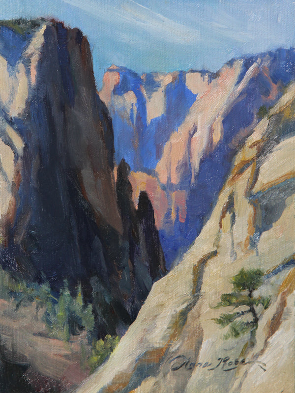 Ascent to Observation Point