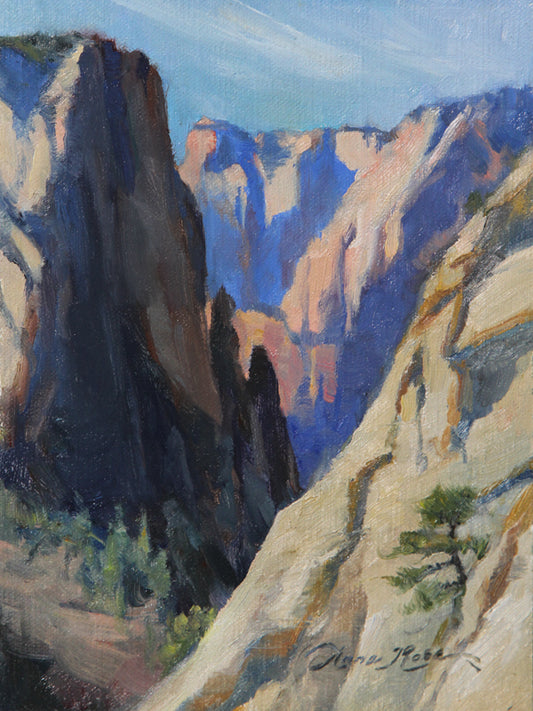 Ascent to Observation Point