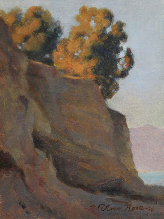 Last Light at Shoreline Park