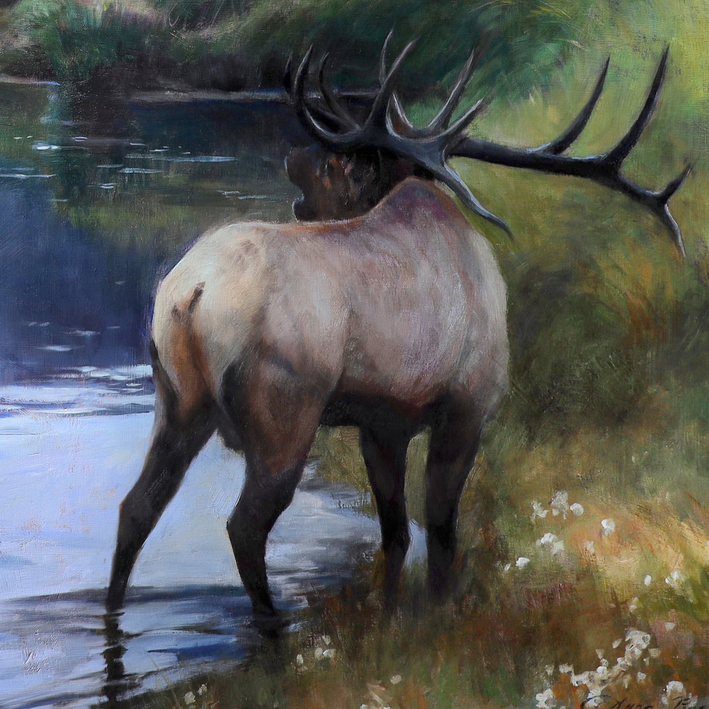 Moraine Valley Elk