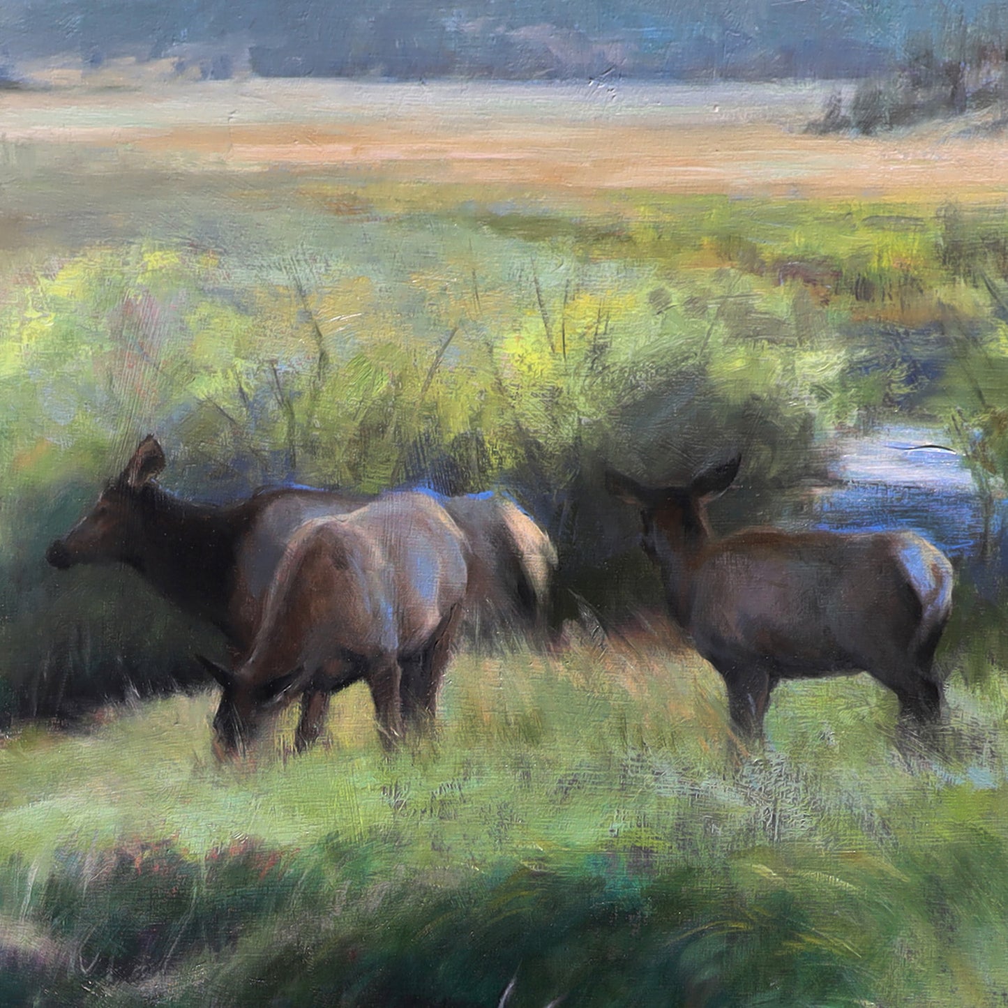 Moraine Valley Elk